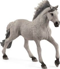 Фигурка мустанга сурайской породы Schleich цена и информация | Schleich Товары для детей и младенцев | hansapost.ee