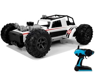 Дистанционно управляемый Auto Buggy 1:12 2.4G, белый цена и информация | Игрушки для мальчиков | hansapost.ee
