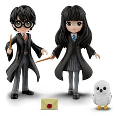 Harry & Cho Mini sõpruskomplekt Harry Potter ja Cho Chang Harry Potter hind ja info | Mänguasjad poistele | hansapost.ee