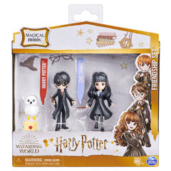 Harry & Cho Mini sõpruskomplekt Harry Potter ja Cho Chang Harry Potter hind ja info | Mänguasjad poistele | hansapost.ee