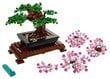 10281 LEGO® Creator Expert Bonsai puu hind ja info | Klotsid ja konstruktorid | hansapost.ee