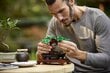 10281 LEGO® Creator Expert Bonsai puu hind ja info | Klotsid ja konstruktorid | hansapost.ee