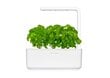 Click & Grow Smart Garden 3 hind ja info | Nutipotid ja taimelambid | hansapost.ee