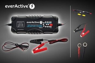 Зарядное устройство everACTIVE CBC-10 12/24V, 10-300AhV цена и информация | Зарядные устройства | hansapost.ee