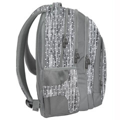 Рюкзак Paso, PPMM19-2706 цена и информация | Школьные рюкзаки, спортивные сумки | hansapost.ee