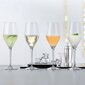 Spiegelau Prosecco klaaside komplekt, 4 tk цена и информация | Klaasid, kruusid ja kannud | hansapost.ee