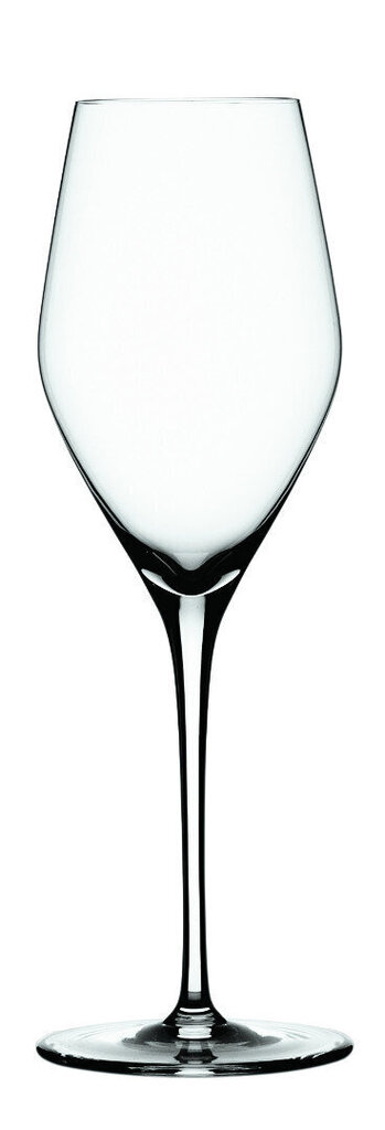 Spiegelau Prosecco klaaside komplekt, 4 tk hind ja info | Klaasid, kruusid ja kannud | hansapost.ee