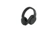 Sony MDRRF895RK Black цена и информация | Kõrvaklapid | hansapost.ee