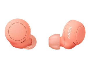 Sony WFC500D.CE7 Orange hind ja info | Kõrvaklapid | hansapost.ee