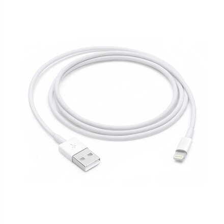 Apple Lightning to USB Cable (1m) - MXLY2ZM/A цена и информация | Mobiiltelefonide kaablid | hansapost.ee