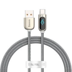 Baseus Display Cable USB to Type-C 5A 1m silver hind ja info | Mobiiltelefonide kaablid | hansapost.ee