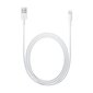 Apple Lightning to USB Cable (2m) - MD819ZM/A hind ja info | Mobiiltelefonide kaablid | hansapost.ee