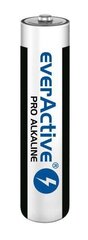 everActive LR0310PAK цена и информация | Аккумуляторы для видеокамер | hansapost.ee