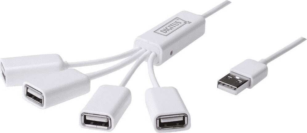 Digitus - Hub USB2.0 4 portowy SlimSpider hind ja info | USB adapterid ja jagajad | hansapost.ee