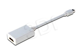 HDMI адаптер ASSMANN miniDP, 0.15 м цена и информация | Адаптеры, USB-разветвители | hansapost.ee