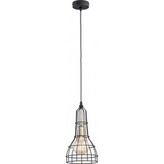 Rippvalgusti TK Lighting Long 1 цена и информация | Потолочный светильник, 38 x 38 x 24 см | hansapost.ee