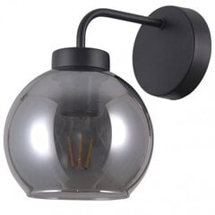 Italux подвесной светильник Poggi цена и информация | Настенный светильник Конусы | hansapost.ee