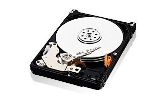 Western Digital AV-25 500GB 5400RPM SATA2 16MB WD5000LUCT цена и информация | Sisemised kõvakettad | hansapost.ee