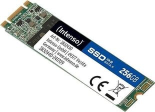Intenso TOP 256GB SATA3 (3832440) цена и информация | Внутренние жёсткие диски (HDD, SSD, Hybrid) | hansapost.ee