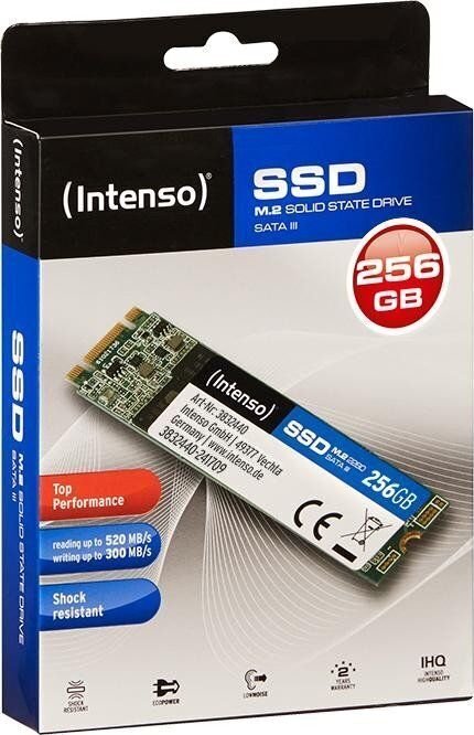 Intenso TOP 256GB SATA3 (3832440) цена и информация | Sisemised kõvakettad | hansapost.ee