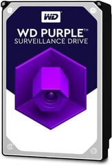 Western Digital Purple 12TB SATA III (WD121PURZ) hind ja info | Sisemised kõvakettad | hansapost.ee