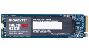 Gigabyte GP-GSM2NE3256GNTD цена и информация | Gigabyte Компьютерная техника | hansapost.ee