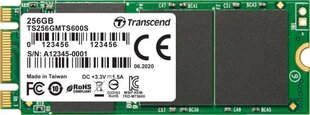 Transcend TS256GMTS600S цена и информация | Внутренние жёсткие диски (HDD, SSD, Hybrid) | hansapost.ee