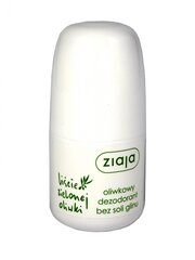 Kuuldeodorant rohelise oliivilehe essentsiga Ziaja 60 ml hind ja info | Deodorandid | hansapost.ee