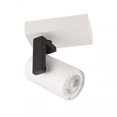 Laevalgusti SPL-2846-1 WH price and information | Ceiling lamps | hansapost.ee