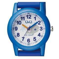 Часы Q&Q VR99J009Y цена и информация | Женские часы | hansapost.ee