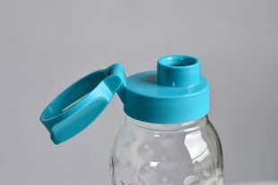 Dots Bottle 0,45L прозрачный / синий цена и информация | Бутылки для воды | hansapost.ee