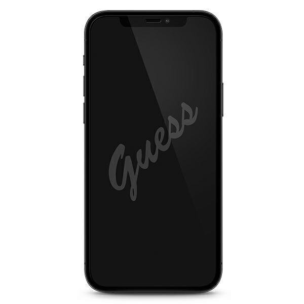 Guess tempered glass for iPhone 12 Mini 5,4&quot; GUSPP12SSLTR Vintage Magic Logo цена и информация | Ekraani kaitseklaasid ja kaitsekiled | hansapost.ee