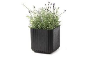 Lillepott Cube Planter M pruun hind ja info | Lillepotid | hansapost.ee