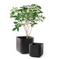 Keter Cube Planter pott, 50,5 l, pruun цена и информация | Lillepotid | hansapost.ee