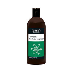 Kõõmavastane šampoon nõgese ekstraktiga 500 ml цена и информация | Шампуни | hansapost.ee
