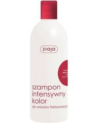 Šampoon värvitud juustele Ziaja 400 ml hind ja info | Šampoonid | hansapost.ee