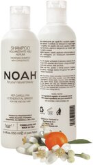Šampoon rasustele juustele Noah 250 ml цена и информация | Шампуни | hansapost.ee