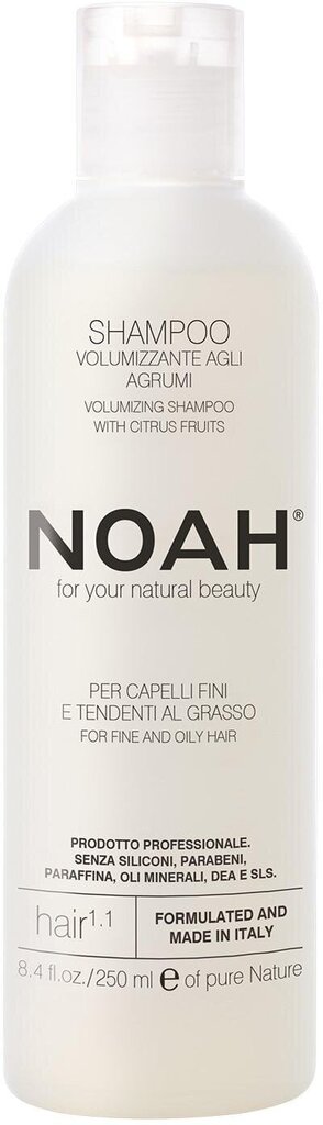 Šampoon rasustele juustele Noah 250 ml hind ja info | Šampoonid | hansapost.ee