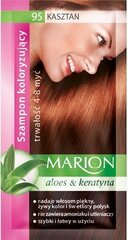 Красящий шампунь Marion 95 Chestnut, 40 мл цена и информация | Marion Духи, косметика | hansapost.ee