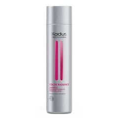 Шампунь для окрашенных волос Kadus Color Radiance Shampoo, 250 мл цена и информация | Шампуни | hansapost.ee