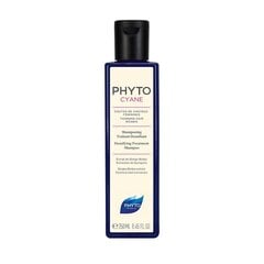 Kohevust andev šampoon Phyto Cyane Densifying Treatment 250 ml hind ja info | Šampoonid | hansapost.ee