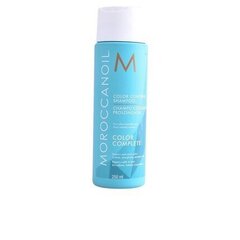 Šampoon värvitud juustele Moroccanoil Color Continue 250 ml hind ja info | Šampoonid | hansapost.ee