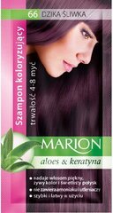Оттеночный шампунь для волос Marion 66 40 мл цена и информация | Краска для волос | hansapost.ee