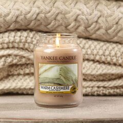 Ароматическая свеча Yankee Candle цена и информация | Yankee Candle Мебель и домашний интерьер | hansapost.ee