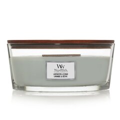 WoodWick lõhnaküünal Lavender & Cedar, 453,6 g price and information | Küünlad, küünlajalad | hansapost.ee