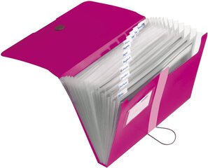 Папка-картотека А4 РР, 12 отделений, розовый цена и информация | Канцелярские товары | hansapost.ee