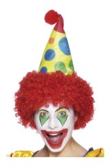 Парик клоуна со шляпой цена и информация | Костюмы и маски | hansapost.ee