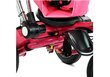 Kolmerattaline jalgratas katusega PRO700, roosa цена и информация | Kolmerattalised jalgrattad lastele | hansapost.ee