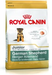 Kuivtoit Royal Canin Saksa lambakoera kutsikatele Junior, 3 kg цена и информация | Сухой корм для собак | hansapost.ee