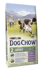 Purina Dog Chow tallelihaja riisiga, 14 kg цена и информация | Сухой корм для собак | hansapost.ee
